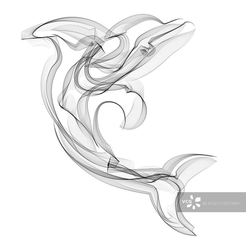 白色背景上的海豚轮廓图片素材