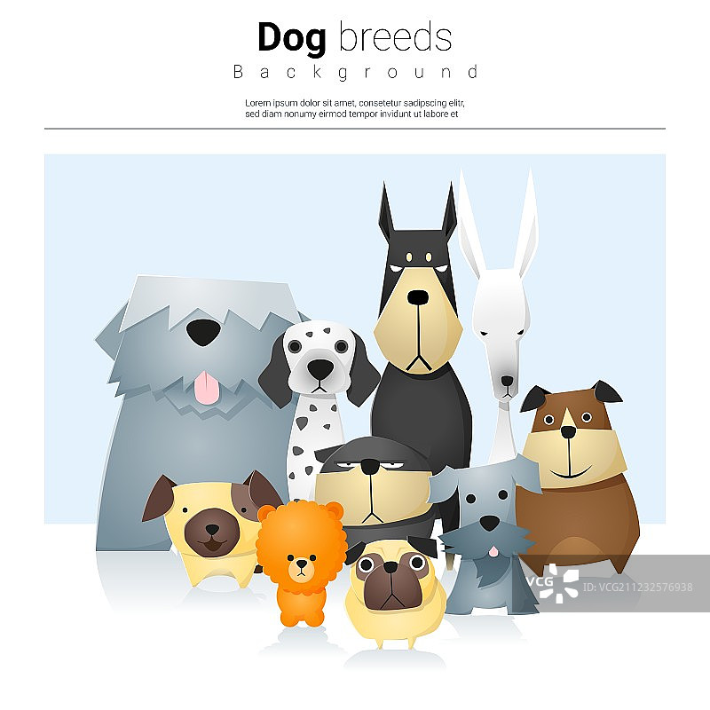 带狗的动物背景 2图片素材