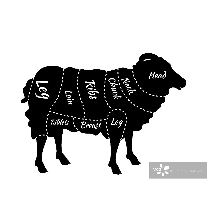 羊肉或绵羊肉分割图图片素材