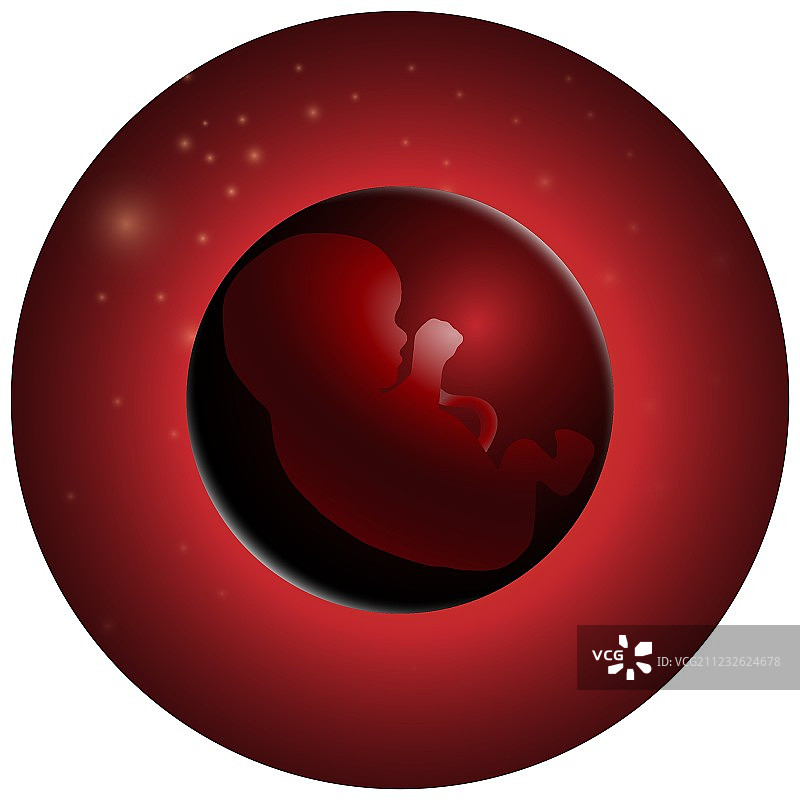 胚芽设计婴儿图片素材