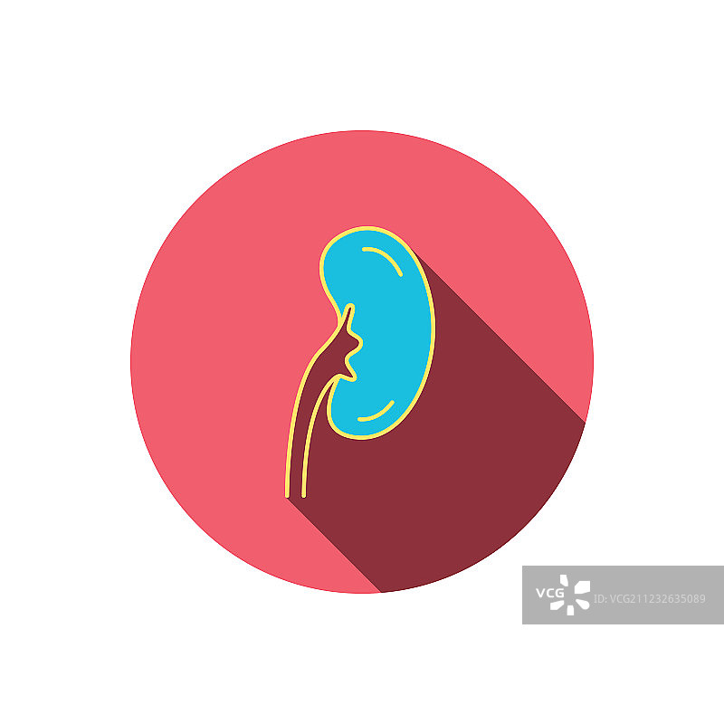 肾脏移植器官标志图标图片素材
