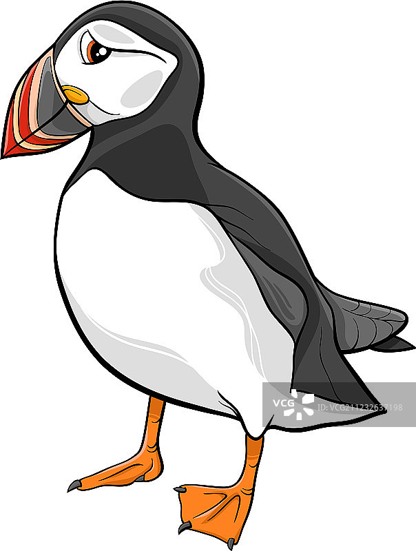 卡通大西洋海鹦图片素材