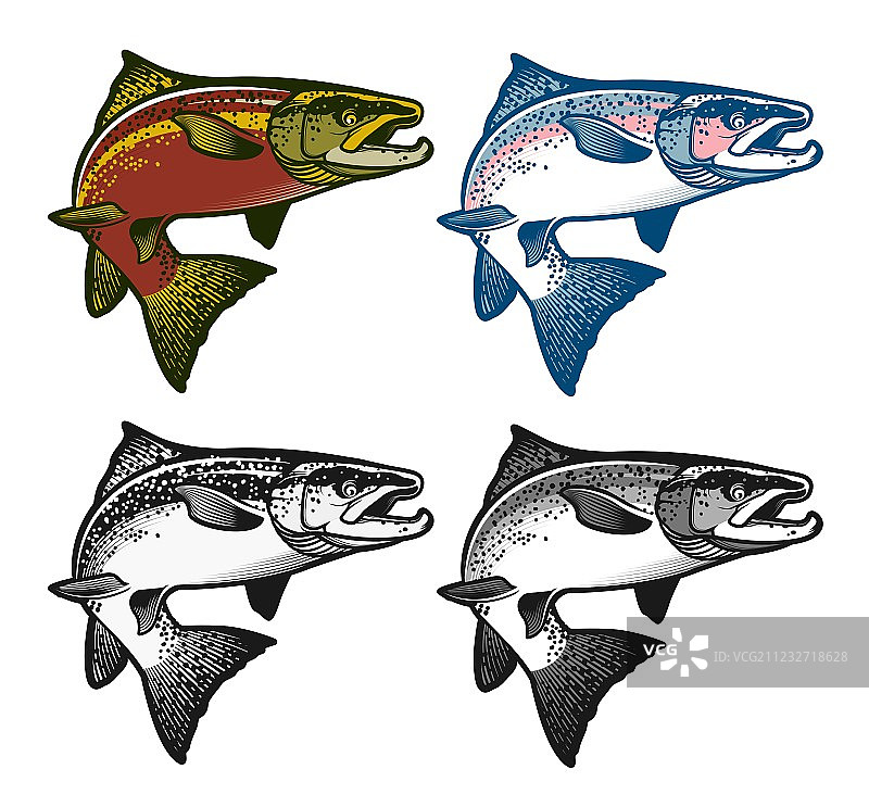 钓鱼徽章标签和设计元素图片素材