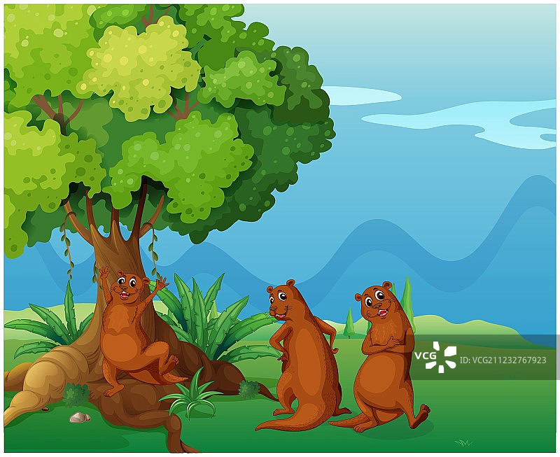 大树附近的三只嬉戏的野生动物图片素材