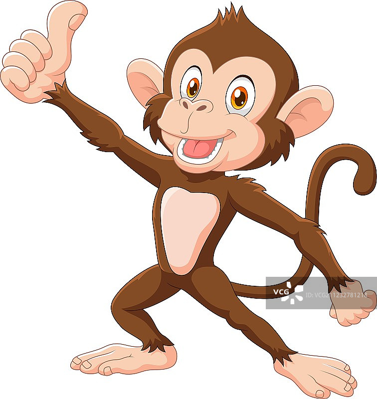 可爱猴子竖起大拇指图片素材
