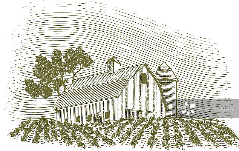 木刻谷仓和筒仓图片素材