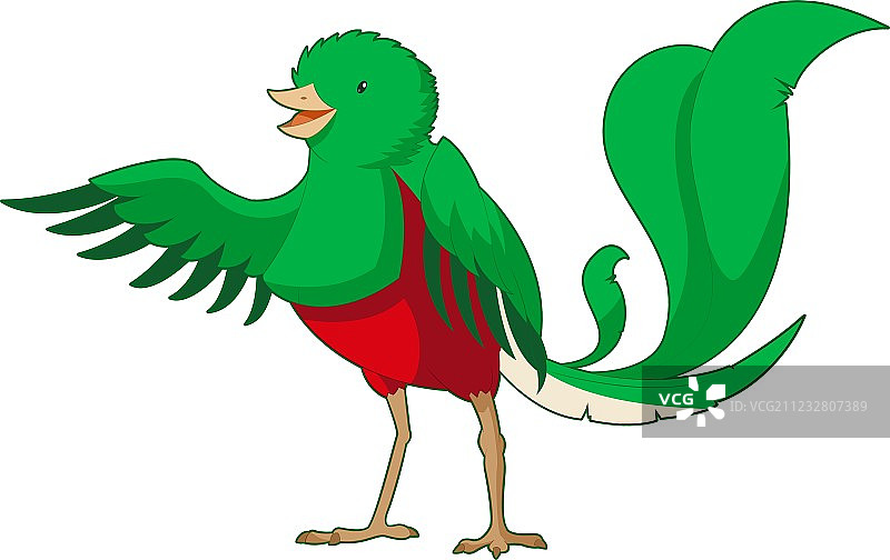 卡通微笑格查尔鸟图片素材