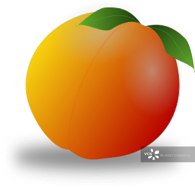 高丽油桃图片素材