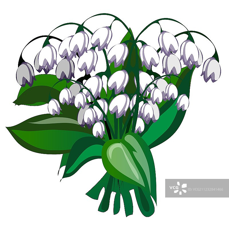 雅致白色铃铛花束图片素材