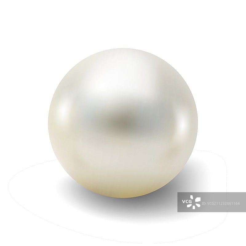 白色背景上的逼真珍珠图片素材