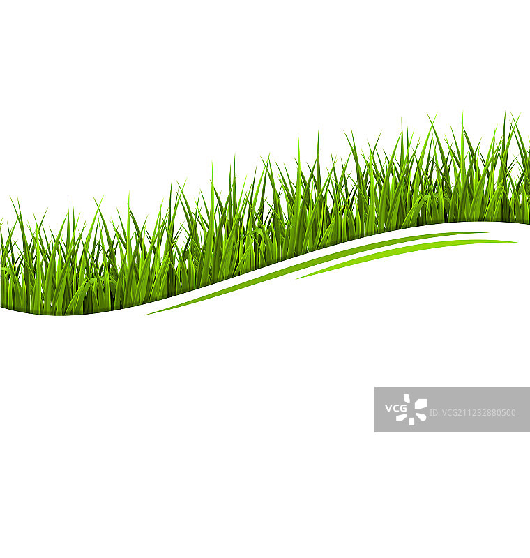 白色背景上的绿草草坪波浪图片素材
