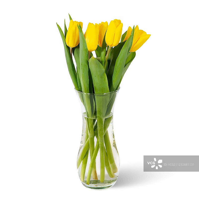 盛满水的玻璃花瓶中插着黄色郁金香图片素材