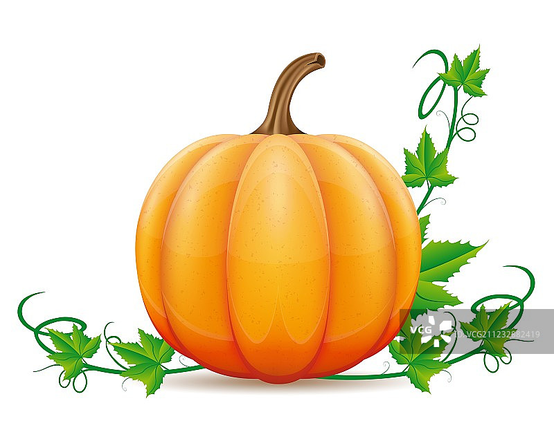 南瓜02图片素材