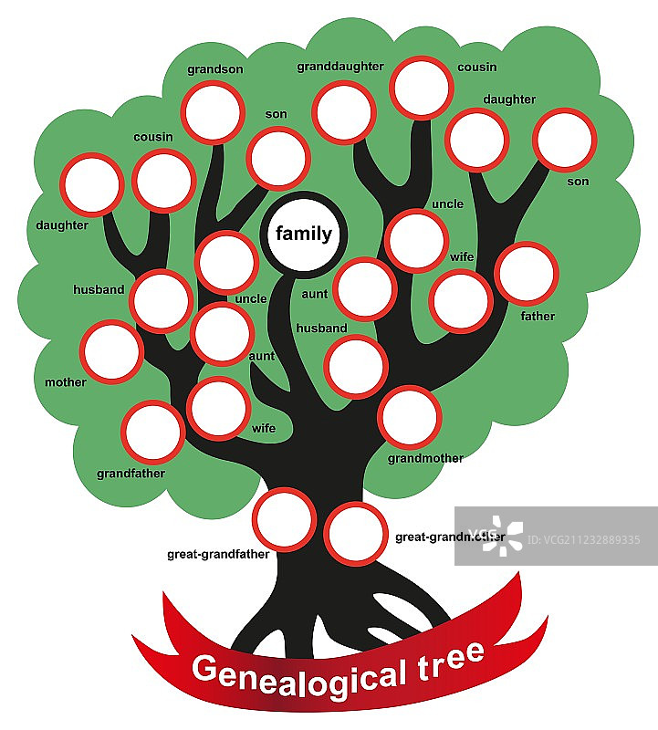 家谱树图片素材