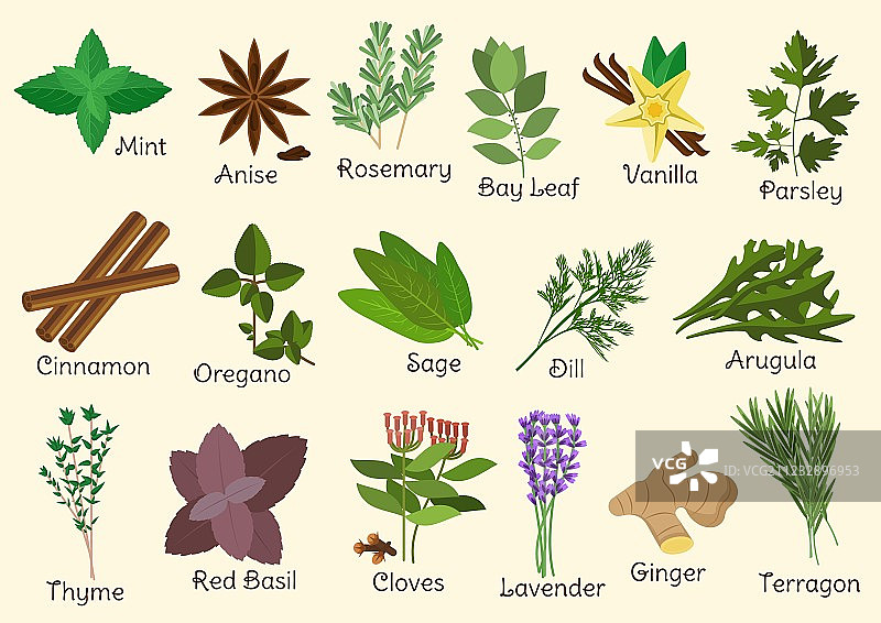 厨房调味香草和香料图片素材