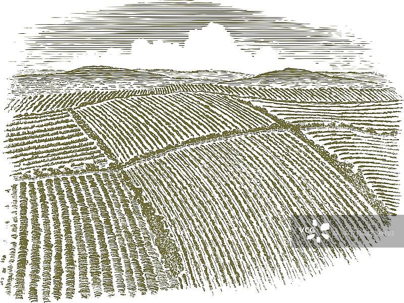 田野的木刻鸟瞰图图片素材