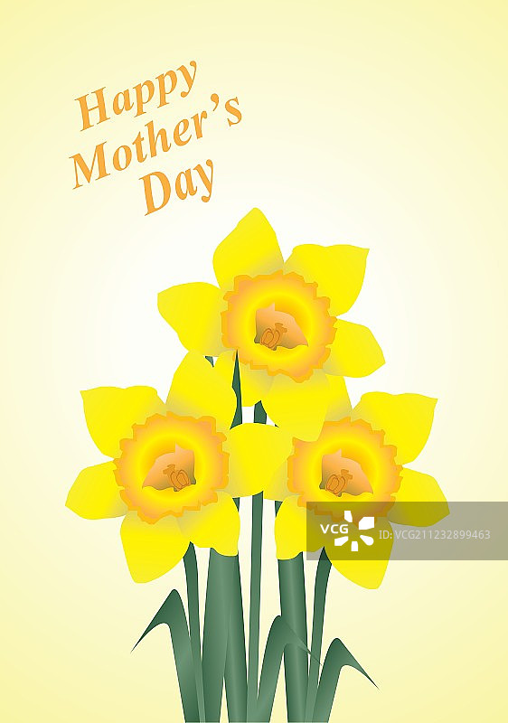 水仙花图片素材