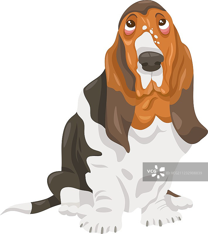 巴吉度猎犬卡通图片素材