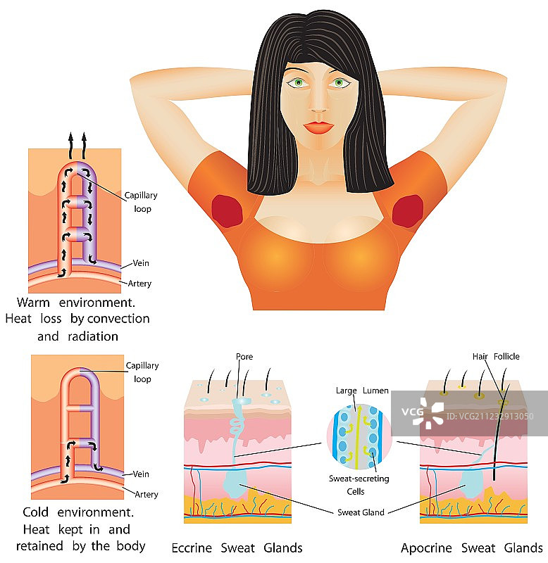 腋下出汗图片素材