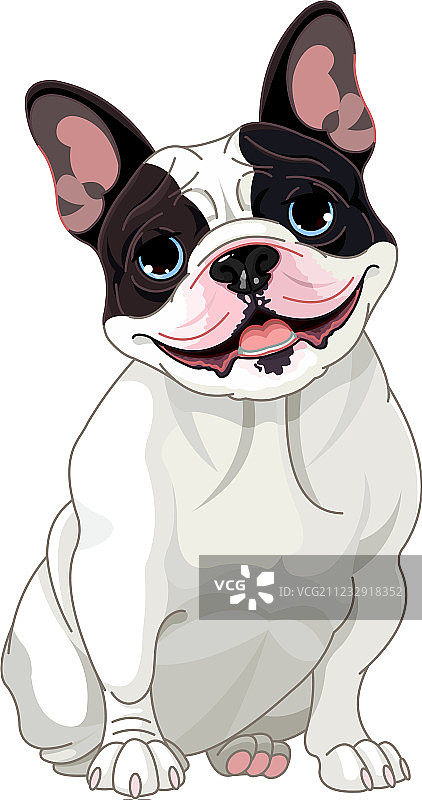 法国斗牛犬图片素材