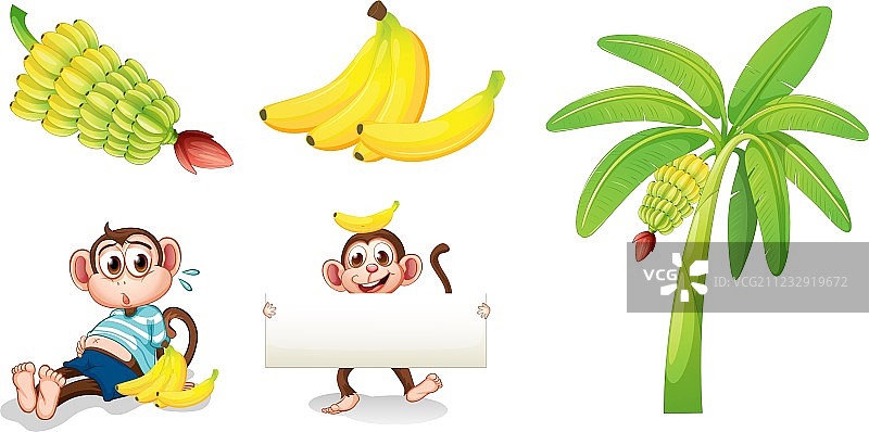 香蕉和猴子与空白标牌图片素材