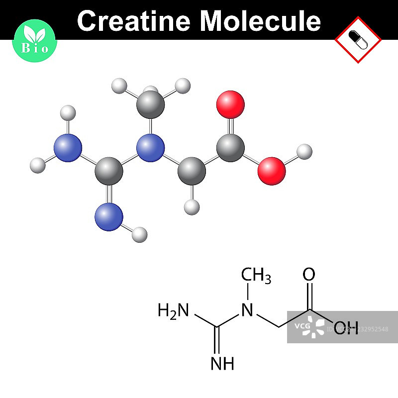 901肌酸对比图片素材