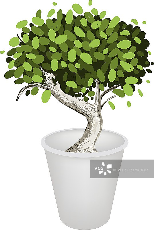 陶瓷盆景树图片素材