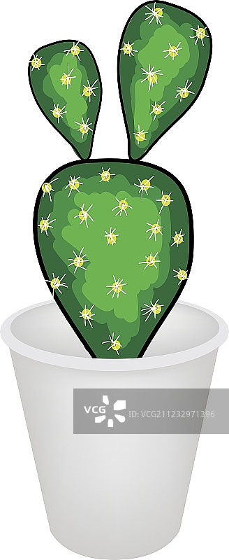 花盆中的仙人掌图片素材