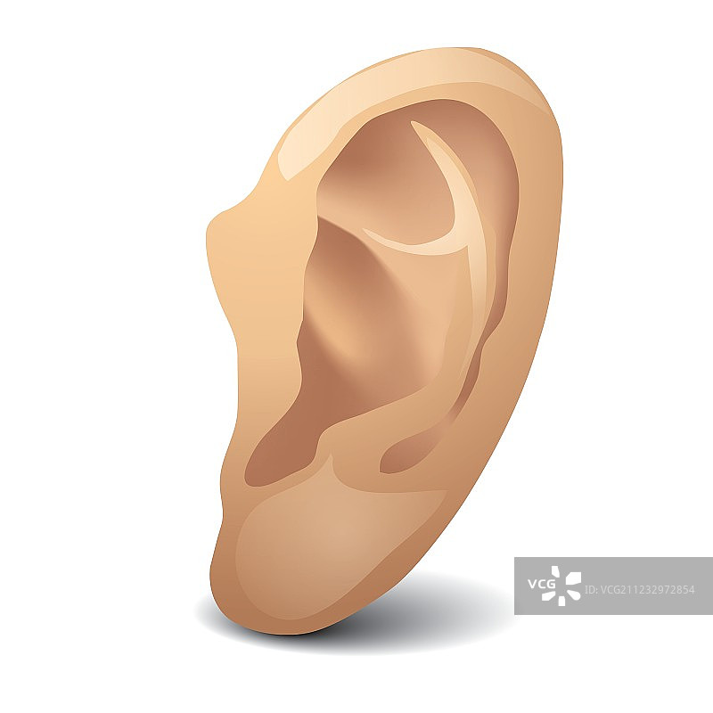 耳朵图标图片素材