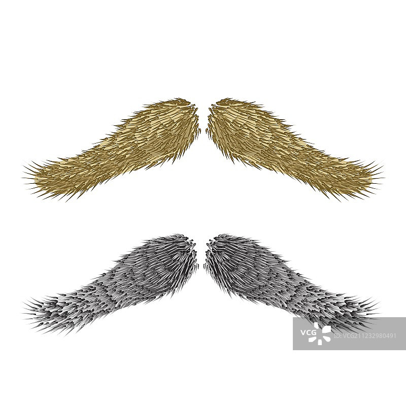 胡须合集图片素材