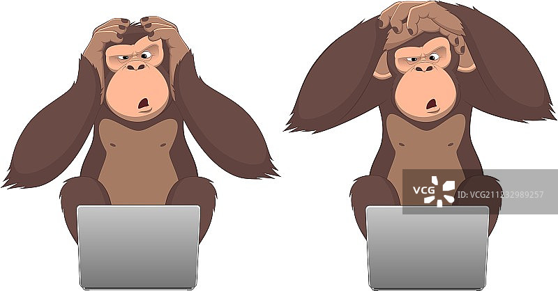 猴子和电脑图片素材