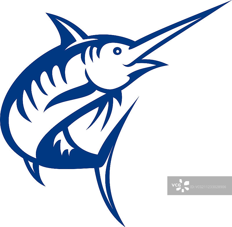 蓝枪鱼跳跃图片素材