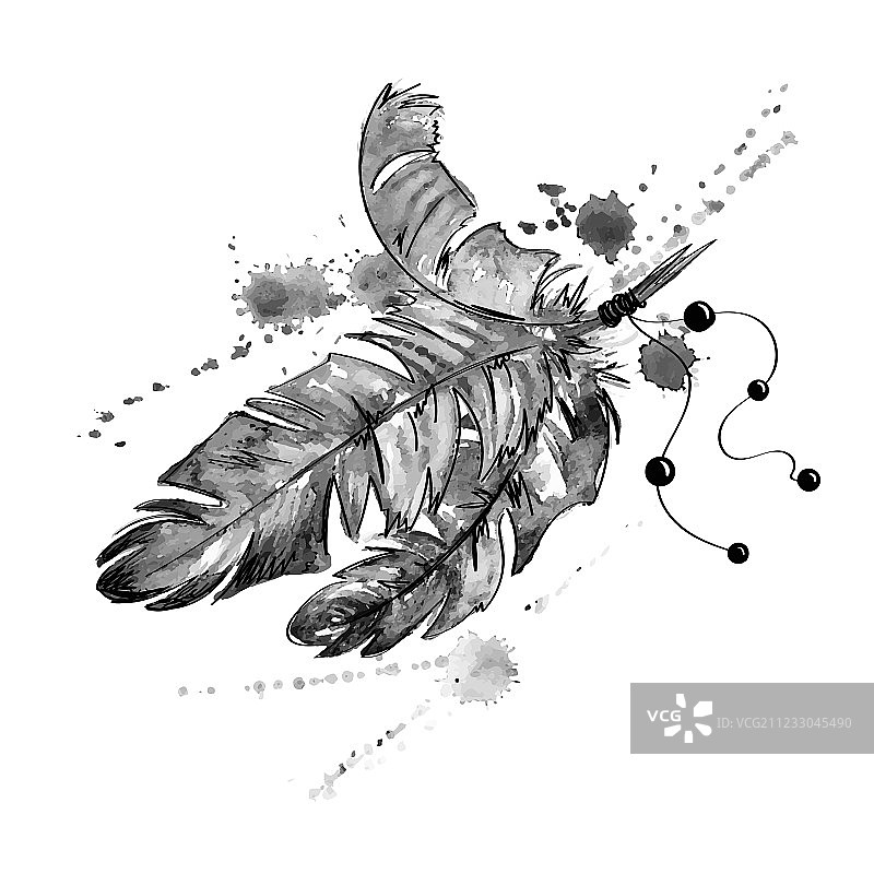 水彩鸟羽毛图片素材