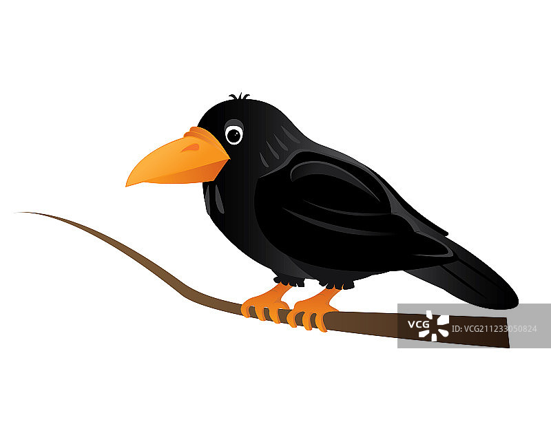 黑乌鸦图片素材