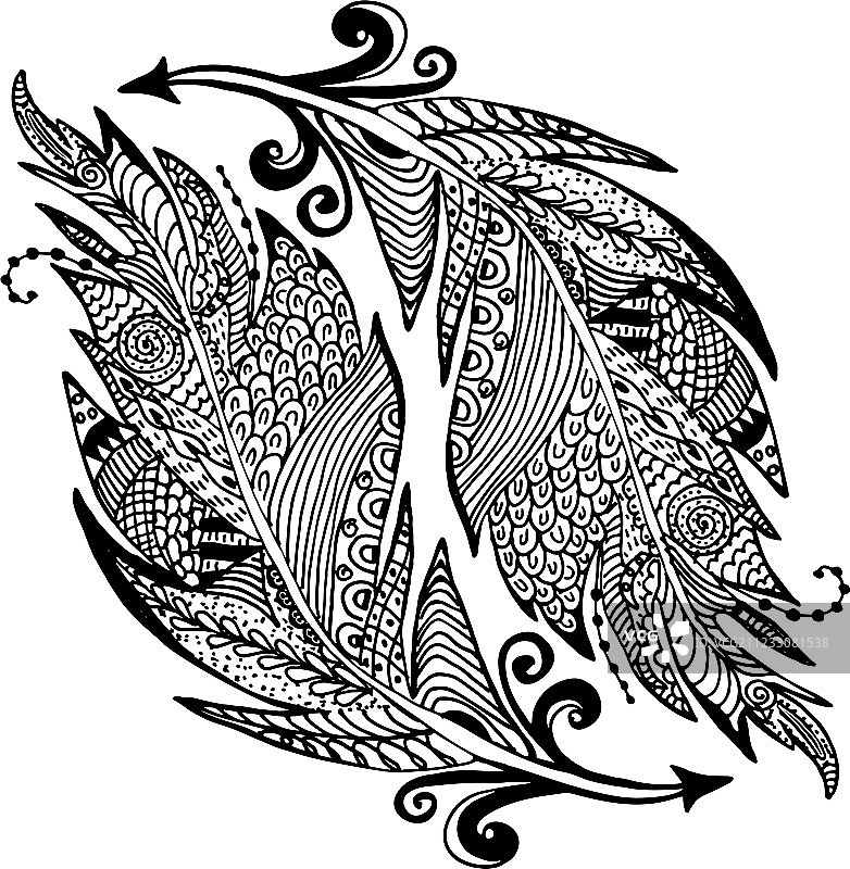 手绘羽毛观赏草图图片素材