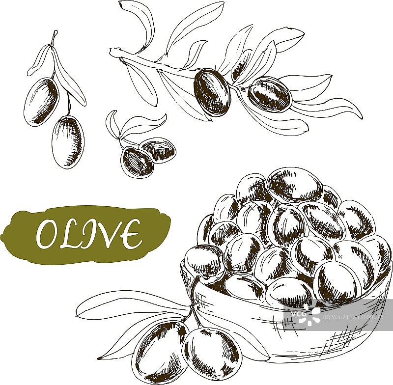 橄榄套装图片素材