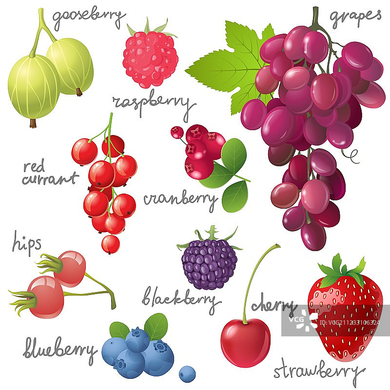 浆果拼盘图片素材