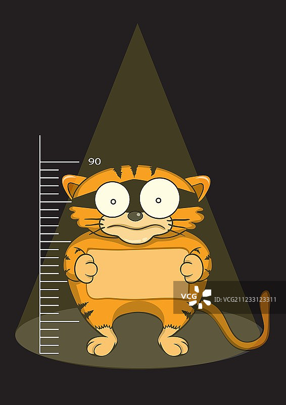 被捕获的猫咪图片素材