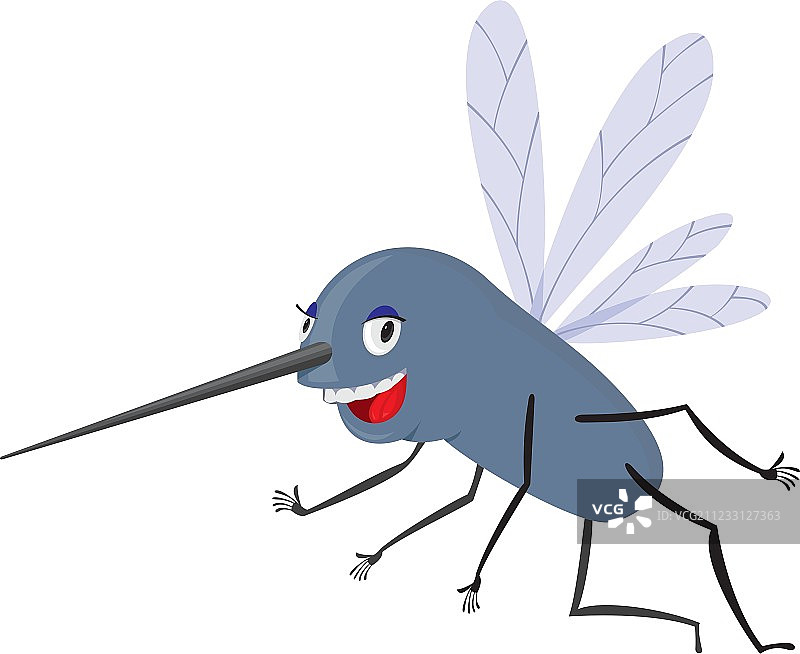 有趣的蚊子图片素材