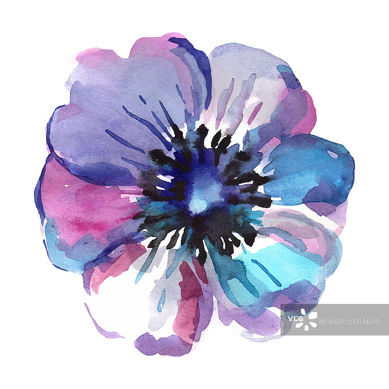 蓝色花朵的独立水彩画图片素材