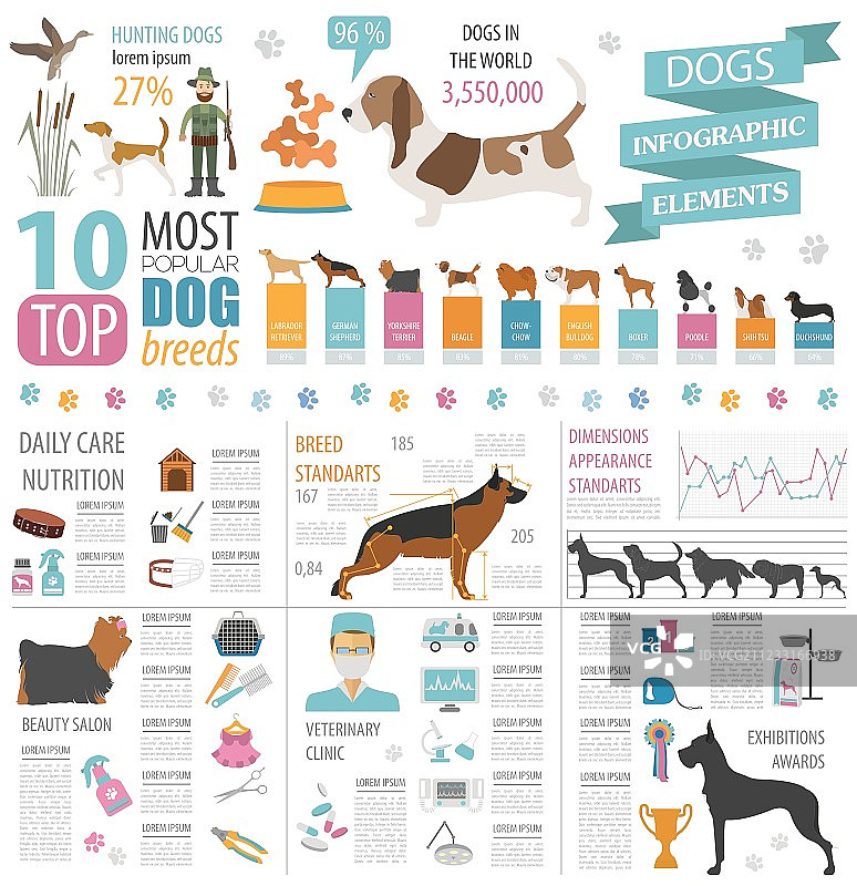 狗狗健康护理兽医信息图模板图片素材