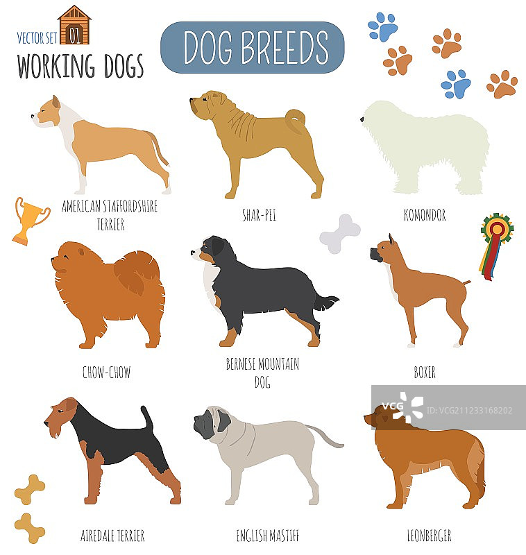 工作犬看守犬品种图标扁平化设计图片素材