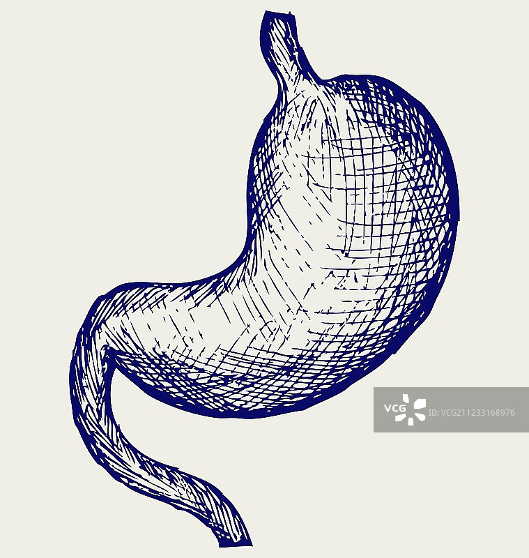 人的胃部图片素材