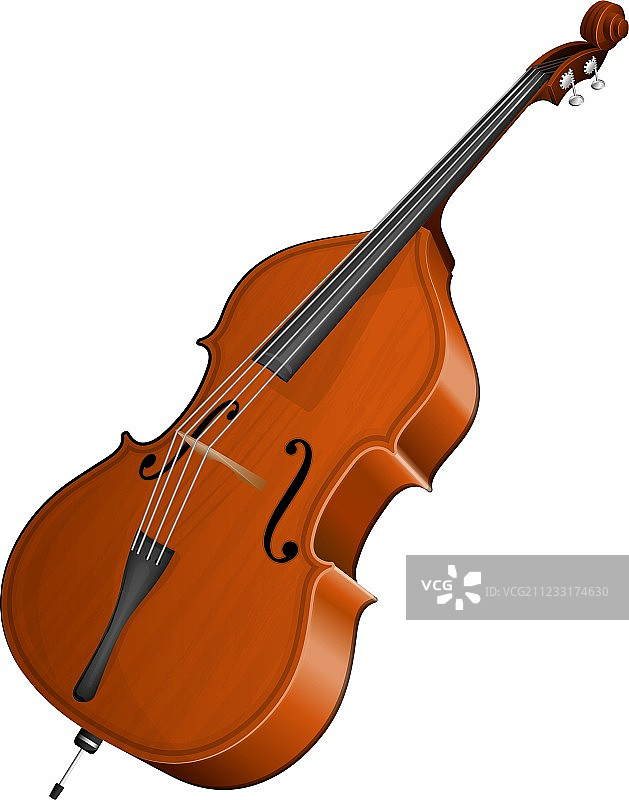 低音提琴图片素材