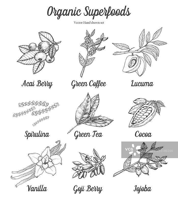 有机超级食品组合图片素材