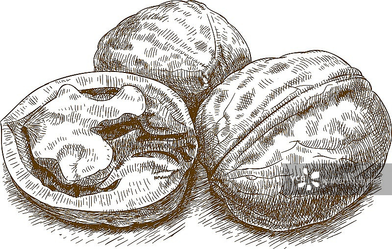 胡桃雕刻作品图片素材