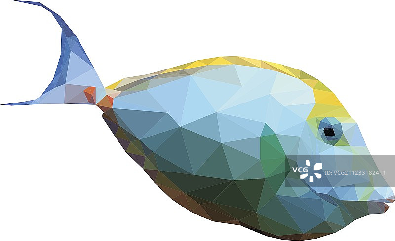 多边形热带鼻鱼图片素材