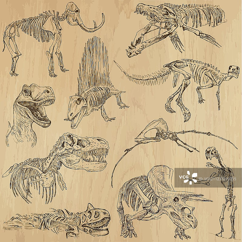 恐龙合集图片素材