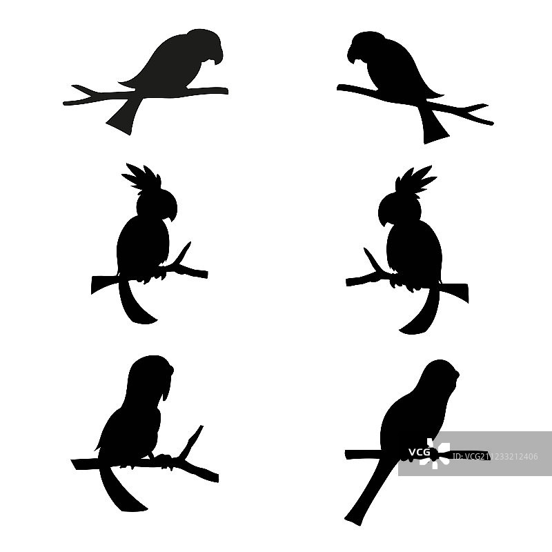 鹦鹉剪影图片素材