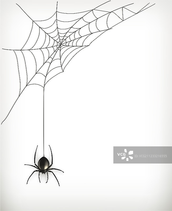 蜘蛛网图片素材